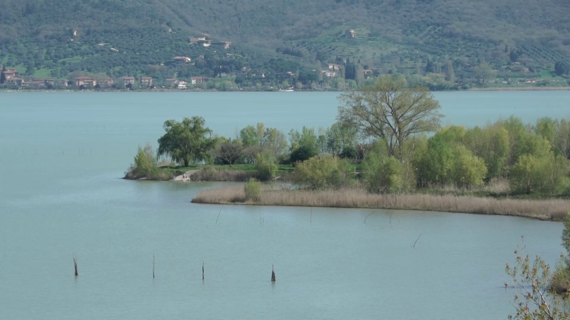 trasimeno