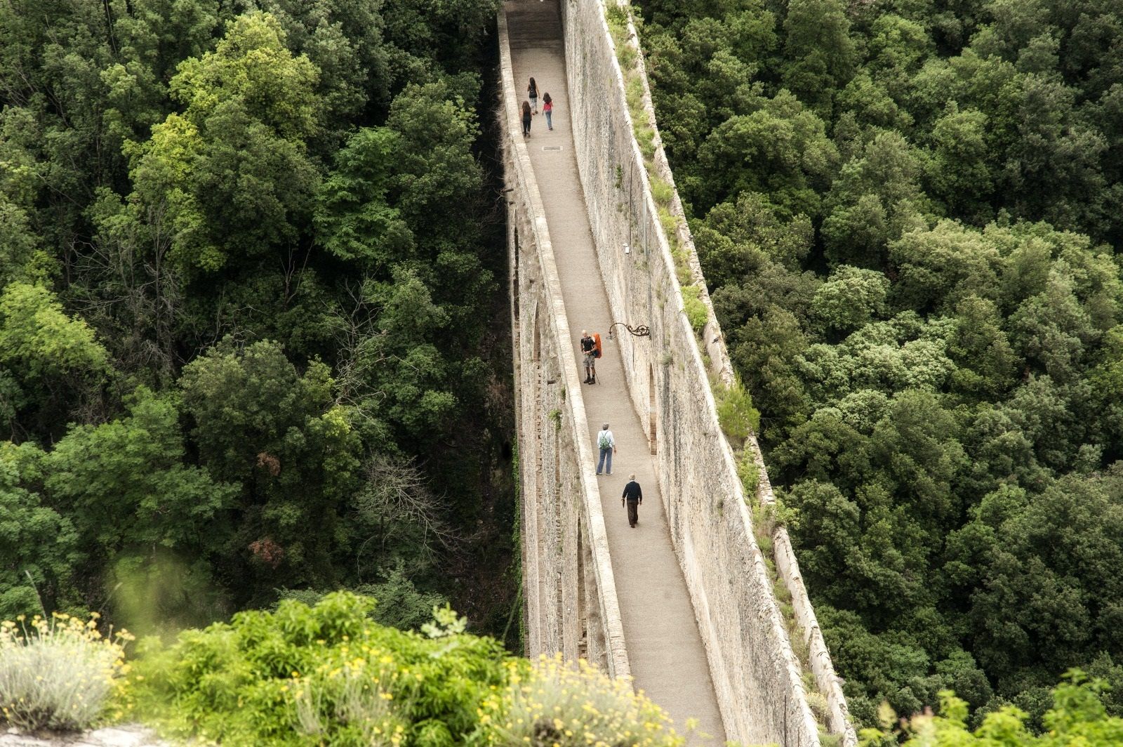 Ponte delle Torri
