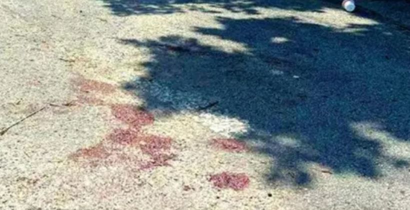 sangue san sisto