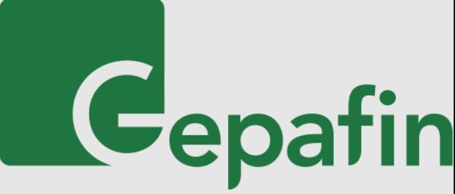 gepafin