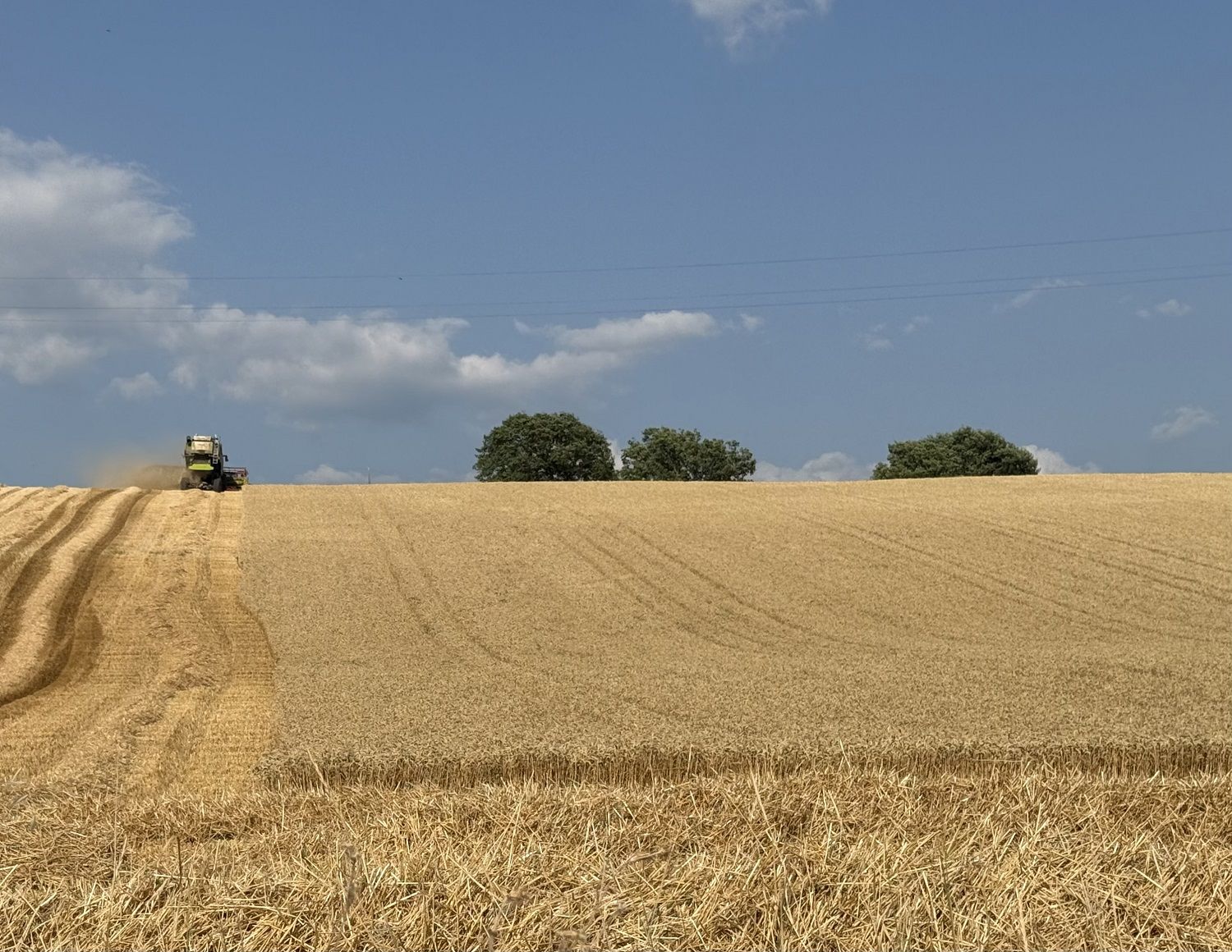 agricoltura