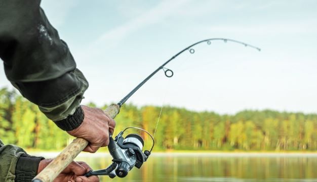 pesca