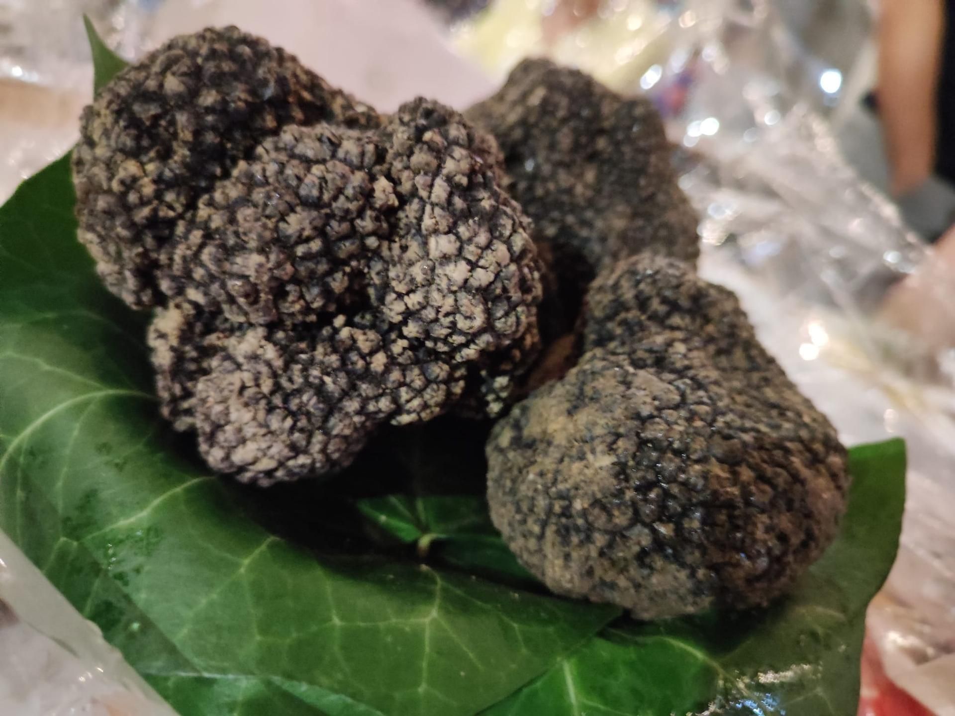 tartufo