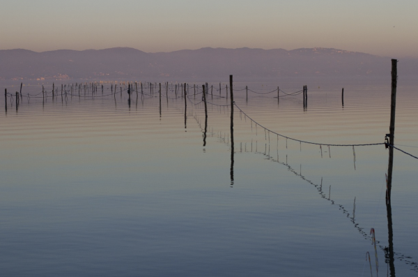 Trasimeno (Pixabay)