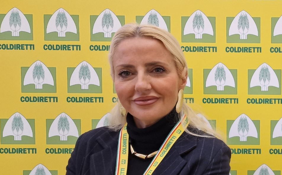 dominga cotarella