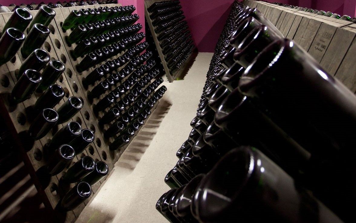 vino