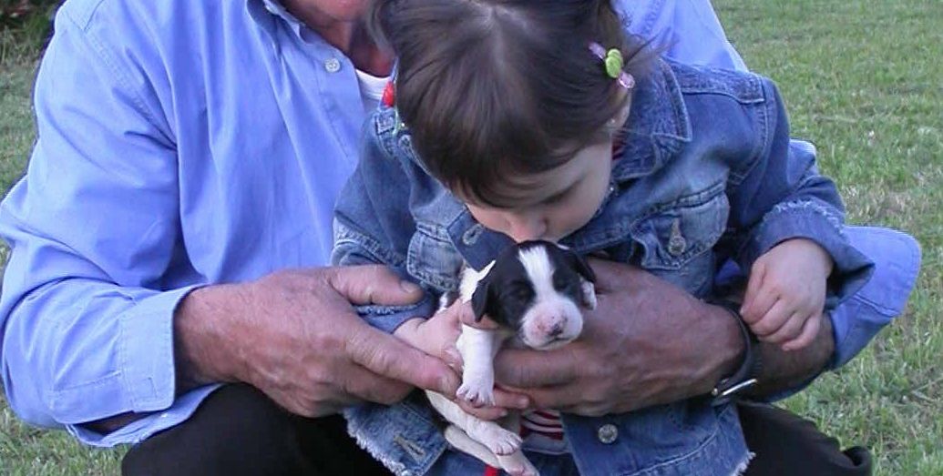 Giornata mondiale del cane